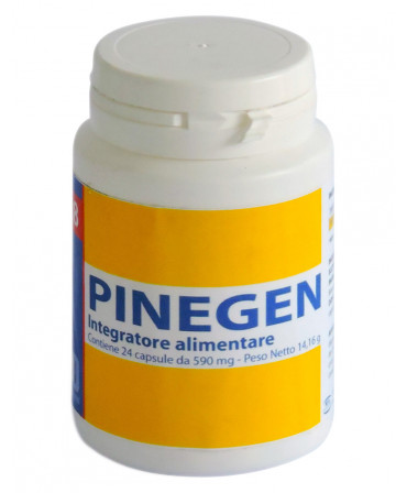Pinegen 24 capsule