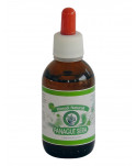 Panagut Echinacea 50 ml