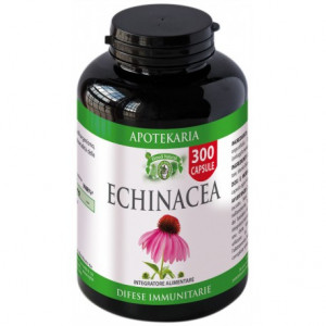 Echinacea 300 capsule