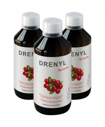 Drenyl System 500 ml x3