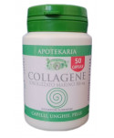 Curcuma 300 capsule