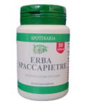 Equiseto 50 Caspule