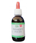 Panagut Flusso 50 ml
