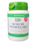 Pilosella 50 capsule