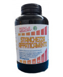 Muscle Memory Power Bull 300 capsule