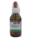 Panagut Flusso 50 ml