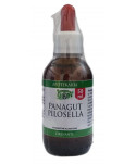 Panagut Ribes Nigrum 50 ml