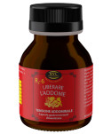 Rx1 LIBERARE LA TESTA 50 cps