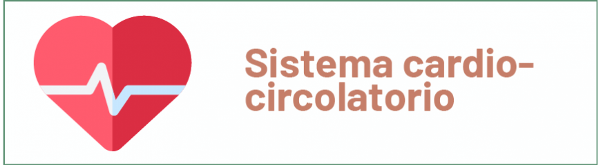 Sistema Cardio-Circolatorio