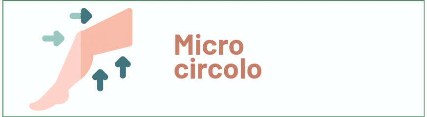 Microcircolo