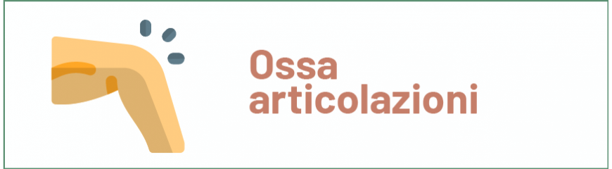 Ossa e Articolazioni