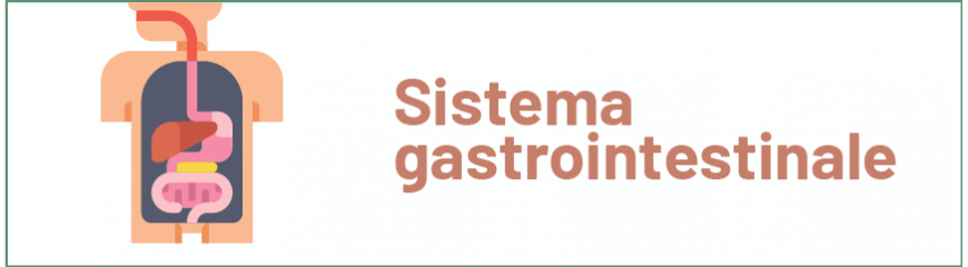 Sistema Gastro-Intestinale