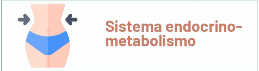 Sistema Endocrino - Metabolismo