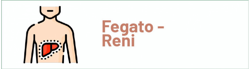 Fegato e Reni