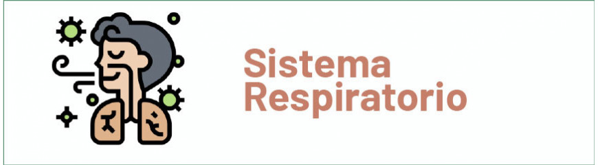 Sistema Respiratorio