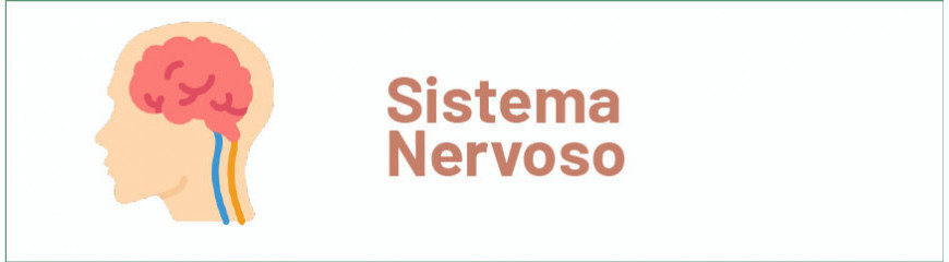 Sistema Nervoso