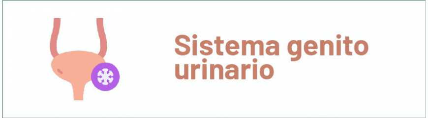 Sistema Genito-Urinario