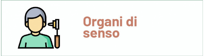 Organi di Senso